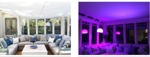 Indoor Inspiration - Conservatories - Clara Shade Sails